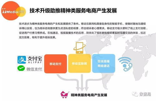 2017上半年中國(guó)精神類服務(wù)電商市場(chǎng)研究報(bào)告 教育咨詢服務(wù)的新機(jī)遇與挑戰(zhàn)