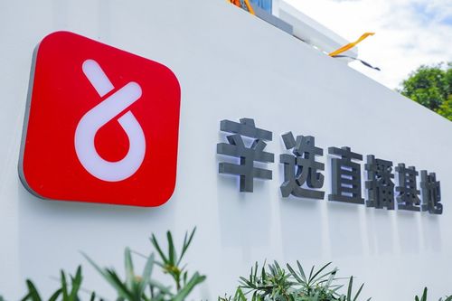 辛巴辛有志 以強(qiáng)大供應(yīng)鏈體系構(gòu)筑辛選護(hù)城河，賦能教育咨詢服務(wù)新生態(tài)
